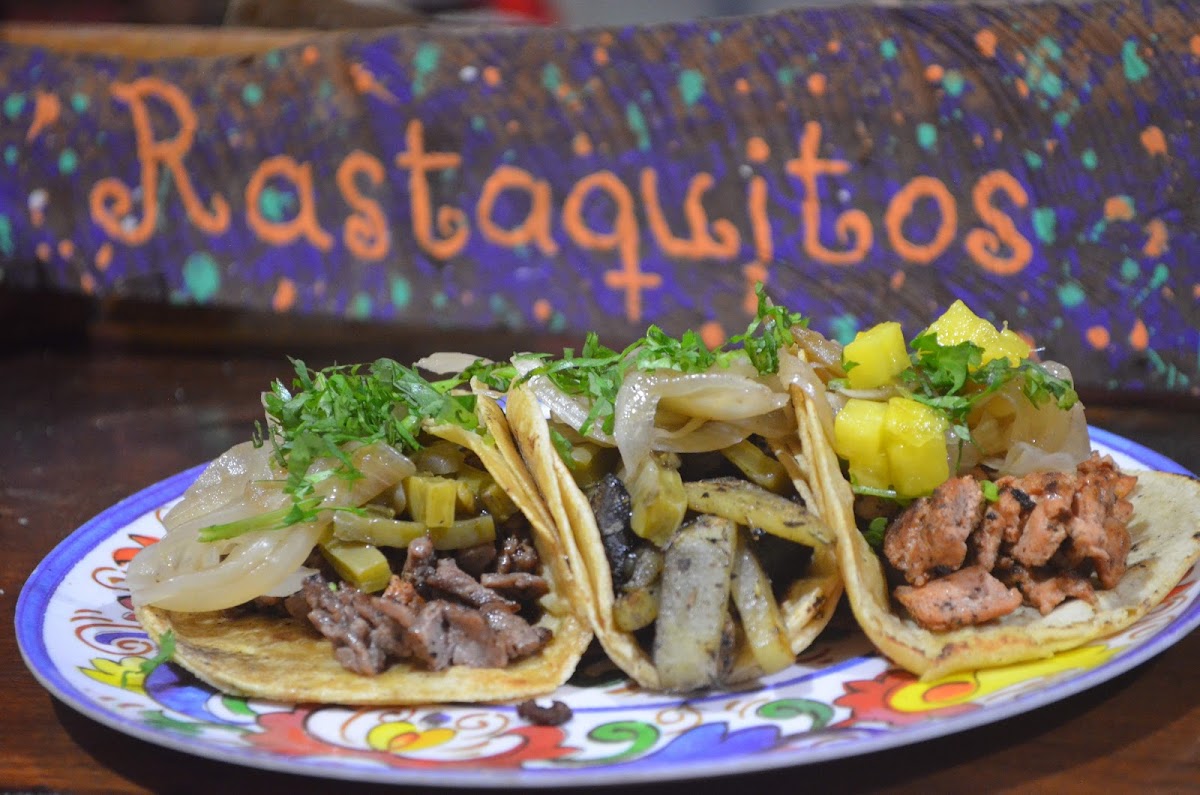 Rastaquitos Puerto Morelos Photos 2